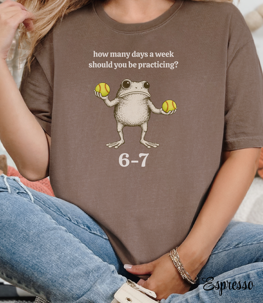 Funny Softball Shirt 6–7 Reps Practice Tee | Softball Humor T Shirt | Softball Player Shirt | Softball Gift